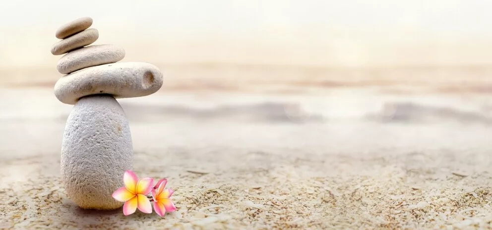 a stone with flowers on the ground representing mindfulness techniques